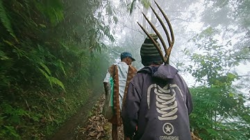 Suasana Pagi di Kampung Yang Tenang || Hujan Gerimis dan Kabut Yang Indah, Pedesaan Sunda Jawa Barat
