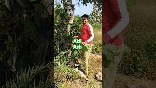 Download Lagu #parti MP3