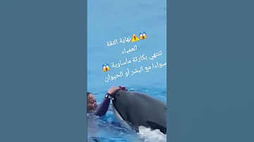 جيسيكا وفاة جيسيكا بطلع العالم في ترويض الاوركا اكسبلور Explore ترند الله اكبر 