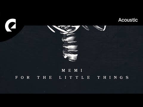 Memi feat. Staffan Carlén - For The Little Things