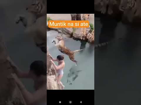 Muntik Na Maabot Si Ate Youtubeshorts Shorts