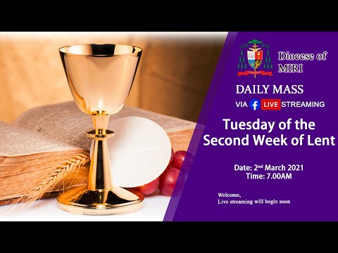 Daily Mass -