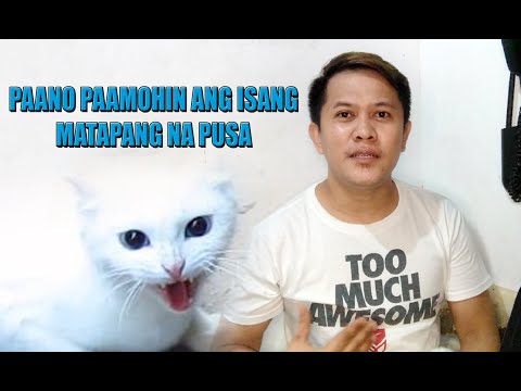 Video: Paano Makilala Ang Lichen Sa Isang Pusa
