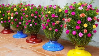 Beautiful Flower Garden, How To Make Beautiful Flower Pots From Plastic Bottles For The Garden