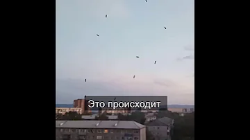 Нашествие моли