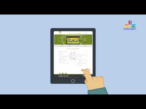 პალიტრა TV - ონლაინ სამოგზაურო დაზღვევის პრეზენტაცია