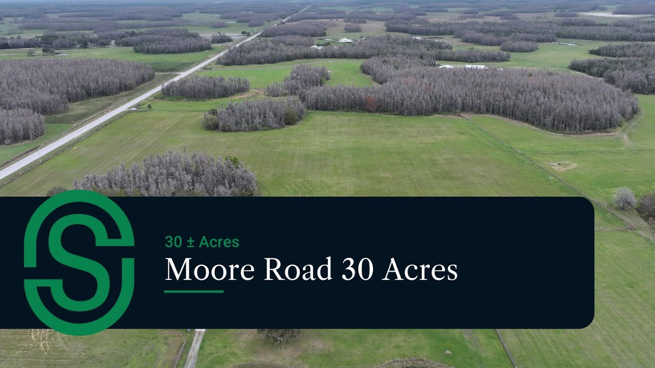 Rare 30-Acre Tract with Homesite and Farm Potential | For Sale in ...
