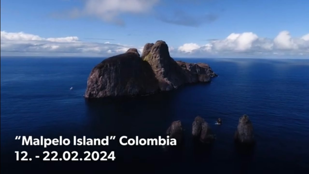 „Malpelo Island“ Colombia Diving with Friends. 12.-22.02.2024