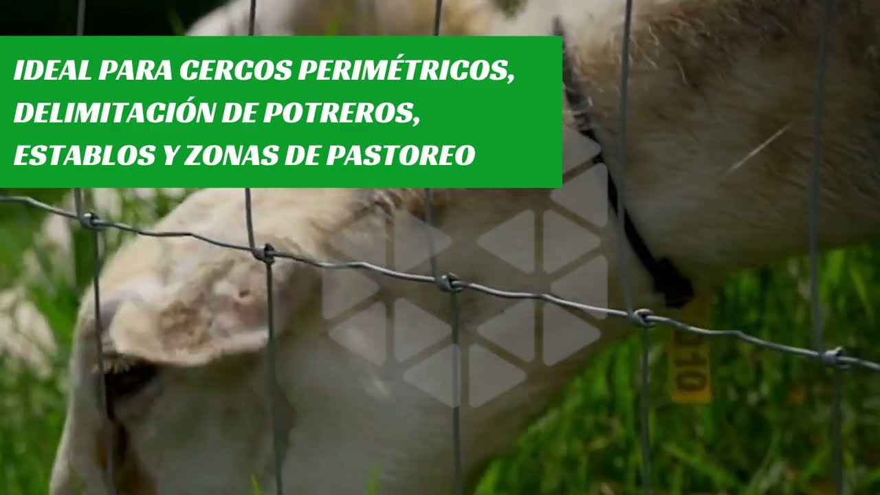 MALLA GANADERA | Cercos Resistentes y Duraderos 💪 | 