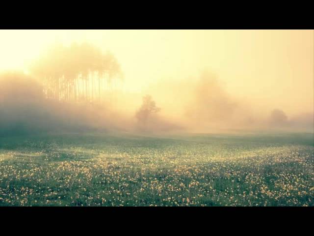 Dirk Maassen - And We Will Shine