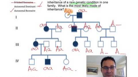 Pedigree Analysis 2: How to solve a genetic pedigree.  Example No. 2