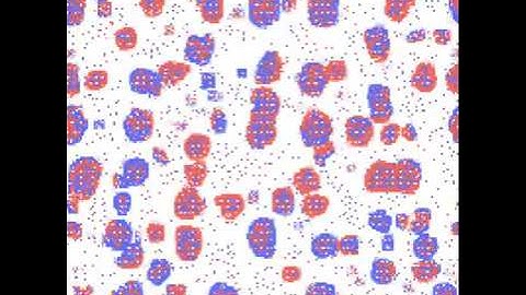 Emergent Life - Cellular Automata produces cell structures