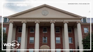 Nih Cancels Research Grant For Sickle Cell Research, Citing Dei As A Factor