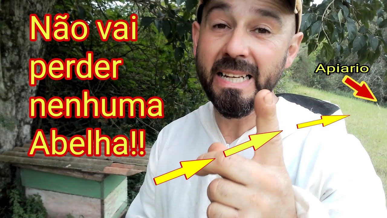 Como mudar enxame pra perto, sem perder abelhas| E ganhar um enxame