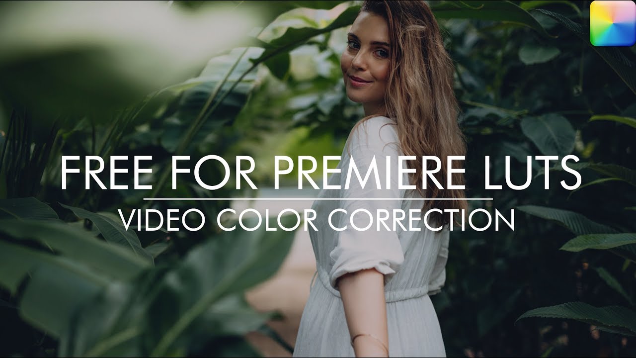 import luts into premiere pro import luts into premiere pro