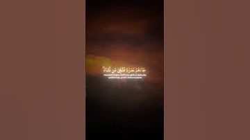تلاوة جميلة بصوت محمد اللحيدان #shots #اكسبلور #محمد_اللحيدان #القرآن_الكريم #quran #دعاء #ترند