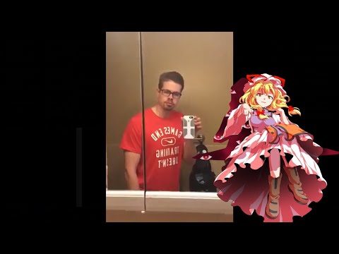 Touhou Characters Portrayed By Vines & Memes (3)