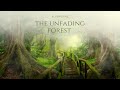Enchanted Forest Music ༄ Relaxing Magical Forest Music  🌳 The Unfading Forest