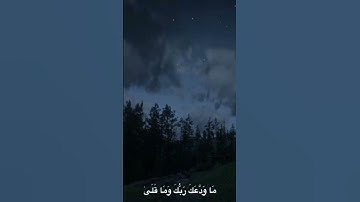 القارئ محمد صديق المنشاوي #viralvideo #قرآن #اكسبلور #القرآن_الكريم #ايات_قرانيه_قصيره #راحة_نفسية