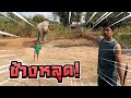 นาทีระทึก!! ช้างหลุด คนวิ่งวุ่น ไปถามความจริง...