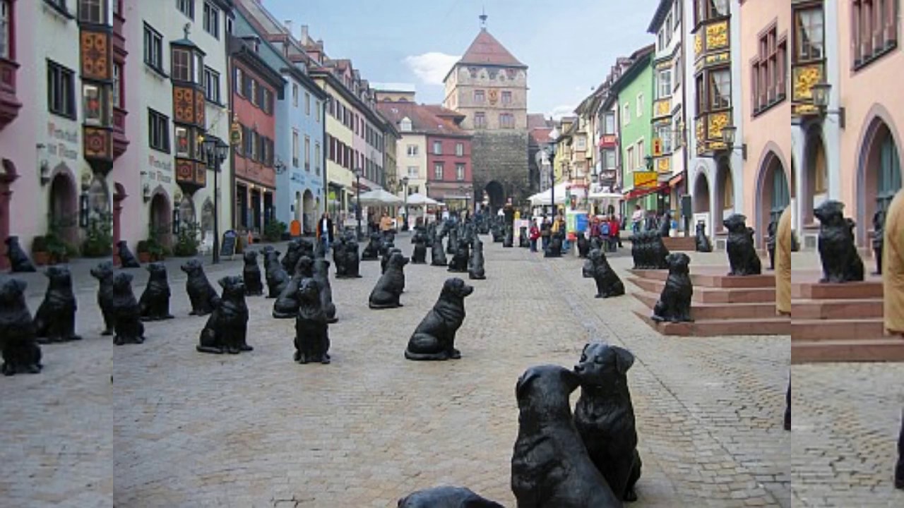 Шварцвальд на 15 дней, или дежавю.. и что из этого вышло.. Шварцвальд на 15 дней, или дежавю.. и что из этого вышло..