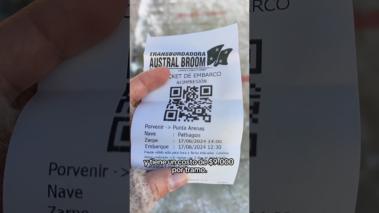 Paseo a Porvenir desde Punta Arenas ☃️