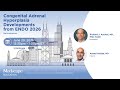 Congenital Adrenal Hyperplasia Developments from ENDO 2026
