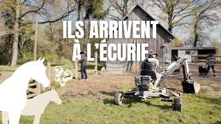 On n’avait rien prévu… et tout change à l’écurie