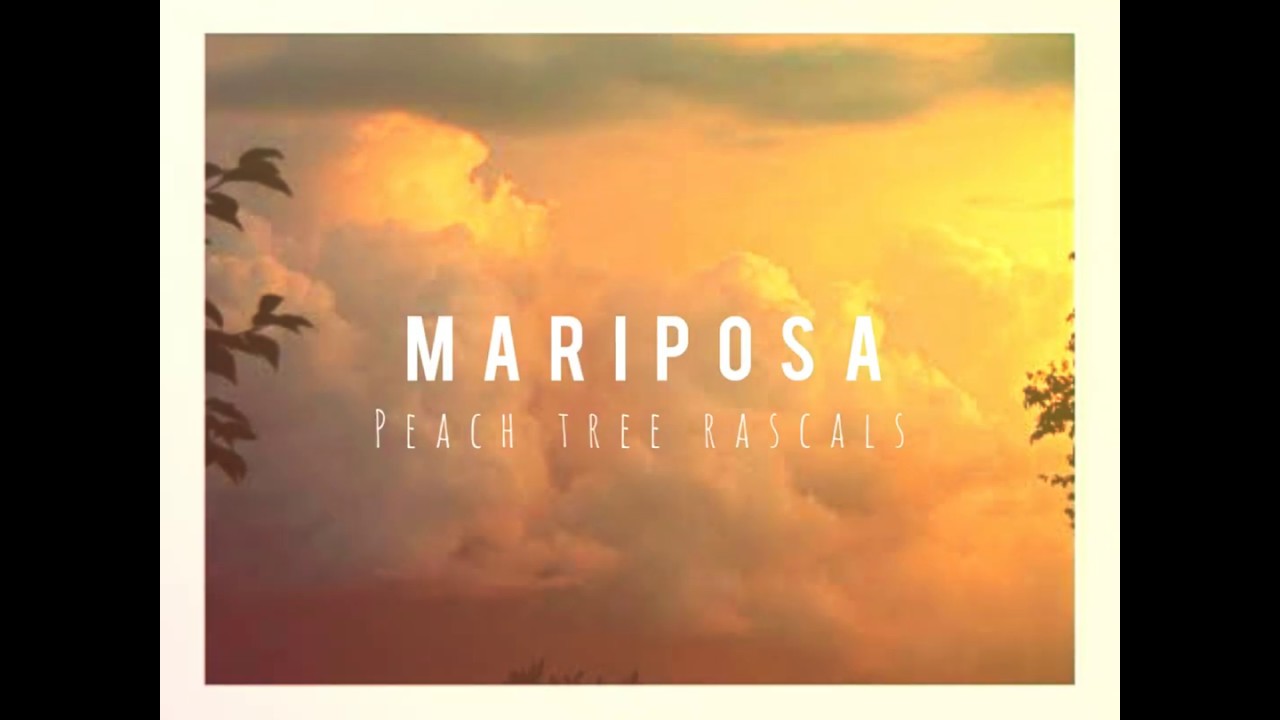 Peach Tree Rascals Mariposa (lyrics) YouTube