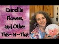 Camellia Flowers, Grapefruit Seeds, and Other This~N~That