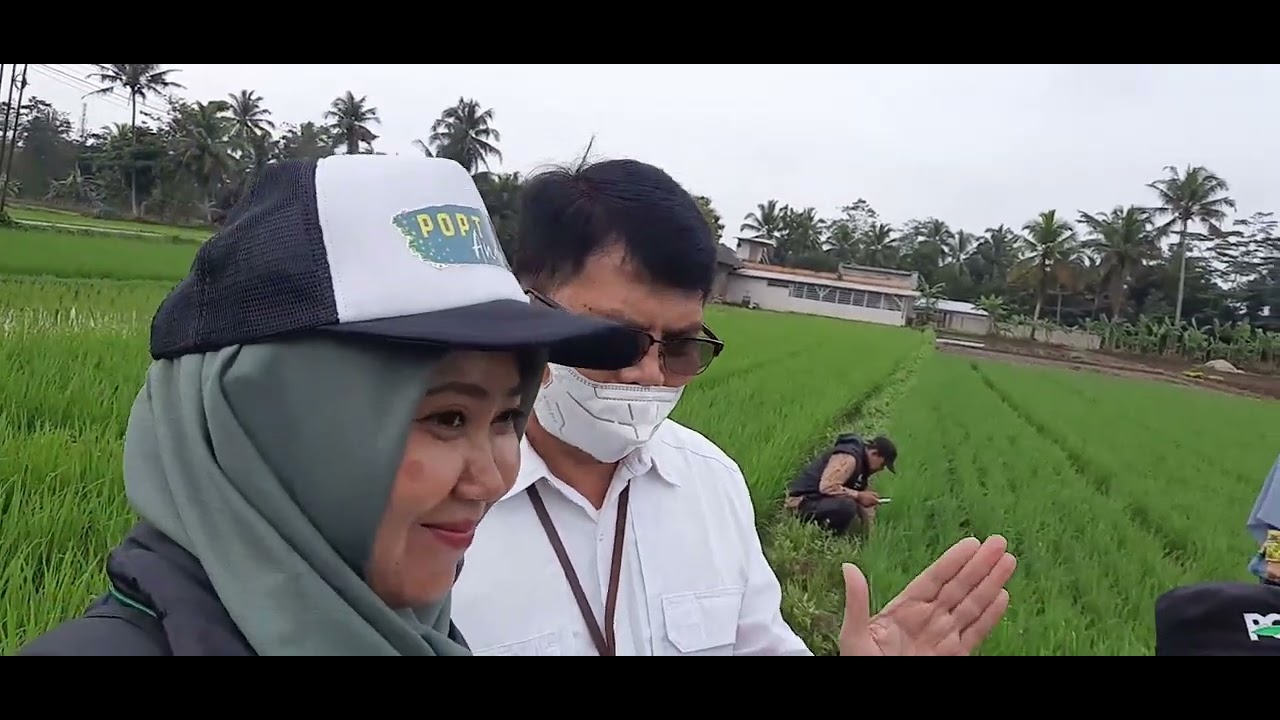 Pengamatan Petak Tetap POPT