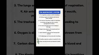 10 lines on respiratory system/write 10 lines on respiratory system/short essay respiratory system