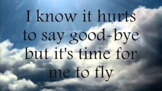 REO Speedwagon Time For Me To Fly Lyrics(AJC)