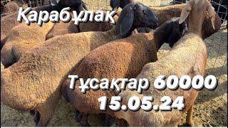 Мал базар Қарабұлақ 15.05.24 Қой. Қозы. Қошқар