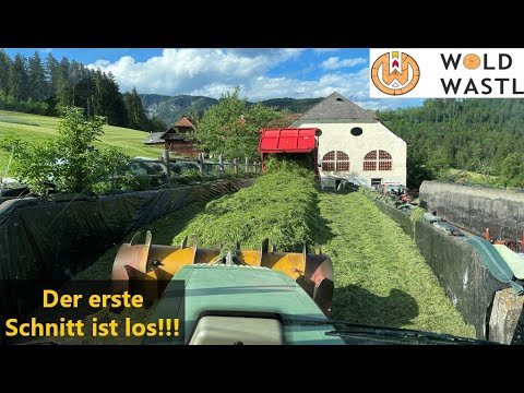 Großer Reifenwechsel steht an! | Asphalt Cowboys | DMAX Motor