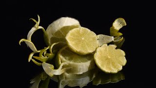 151  不屈芳心：檸檬堅韌中的柔情與堅持