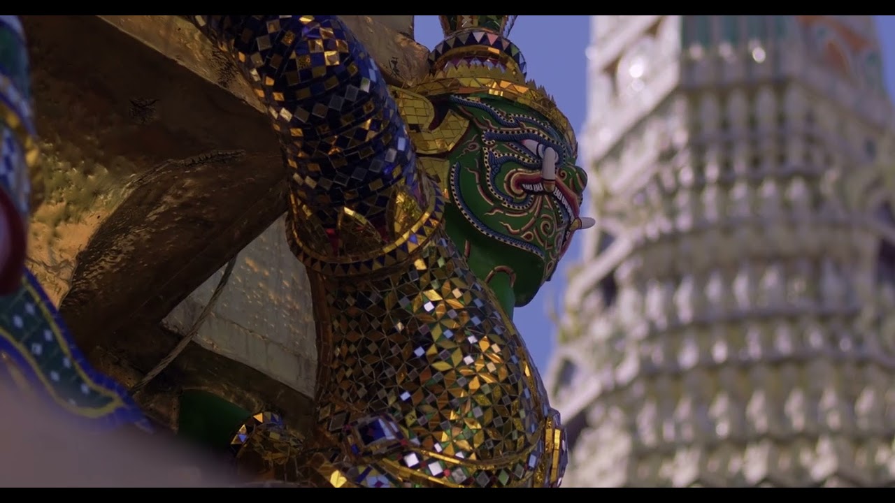 BLACK SWAN - FUJIFILM X-M5 | ZEISS Vario-Sonnar 35-70 f3.4