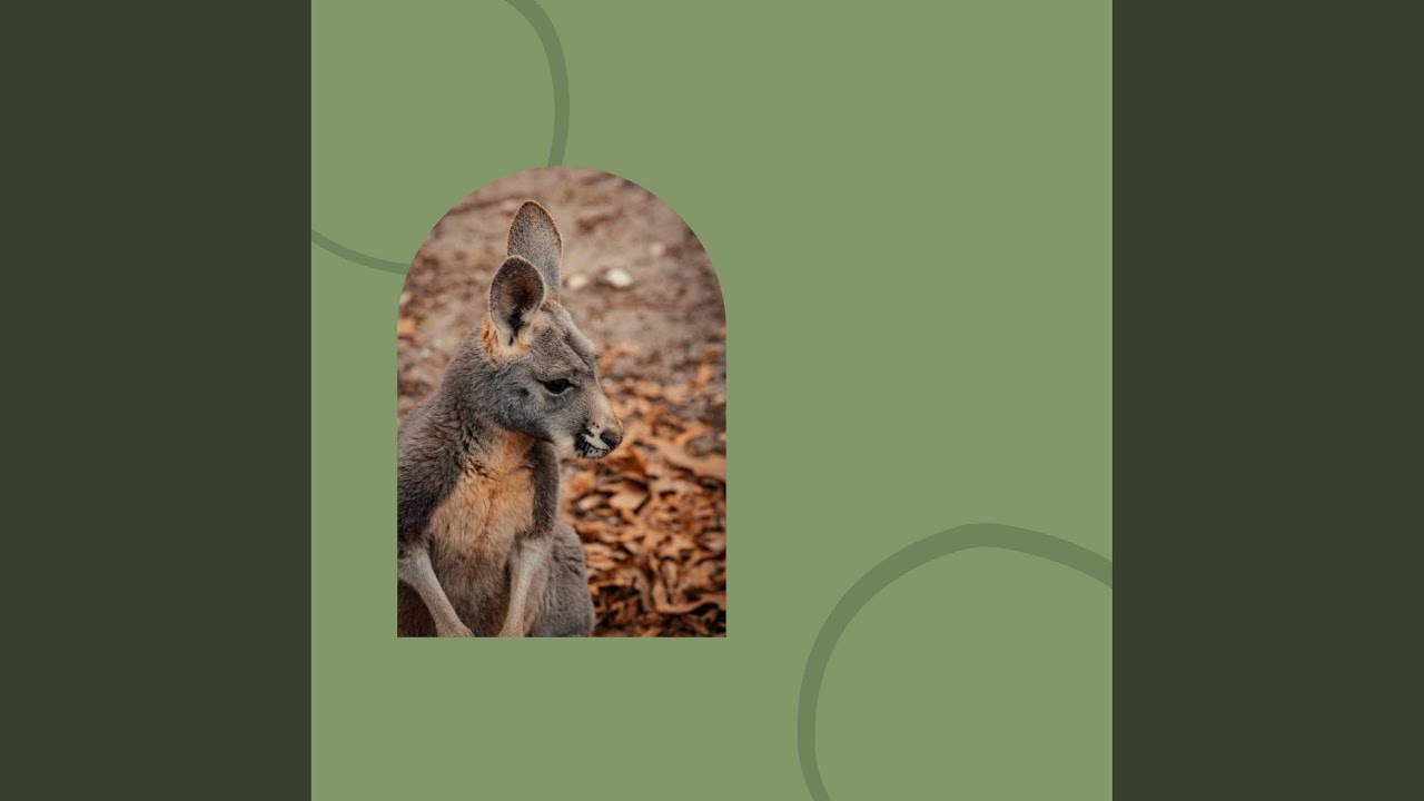 Wicked Backdrops for Feeling Well