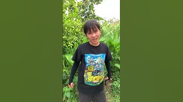 con khủng long hay kì nhông?  #funny #giaitri #shorts