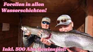 Forellenangeln an der Artländer Forellenzucht, UL Angeln mit Spoon und Gummi #lachsforelle