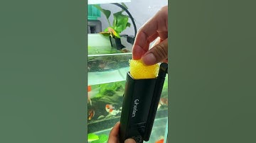 Lọc Váng Hút Dầu Cherlam 3W: Công Nghệ Hiện Đại Cho Bể Cá #locbeca #cherlam #cácảnh