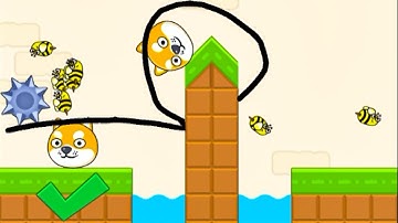 Save The Doge Speedrun Gameplay Level 88