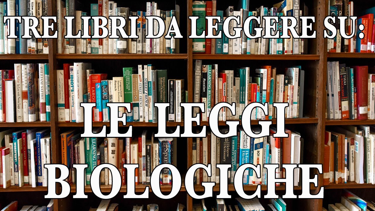 Tre libri da leggere sulle leggi