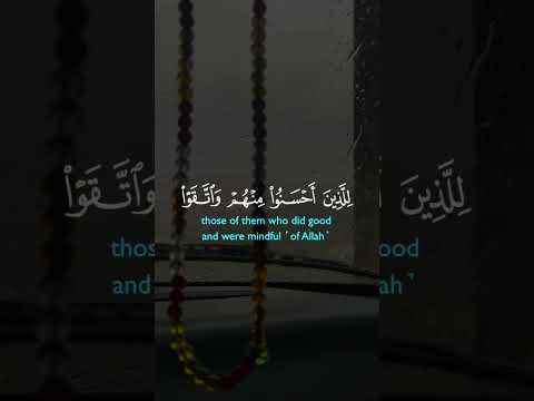 يستبشرون بنعمة من الله وفضل وأن الله لايضيع أجر المؤمنين قرأن كريم قرآن  