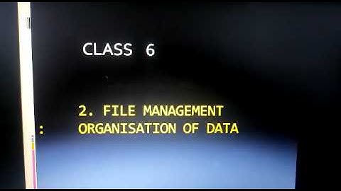 Class 6 Computer Chapter 2 File Management: Organization of Data