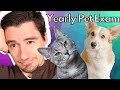 Does your pet need an annual or yearly vet exam  dr dan explains why