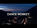 DANCE MONKEY || Diana Dumitreasa || cover