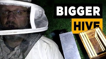 Transfer Honeybees from 5 Frames to 10 Frames (Moving Honeybees to a bigger hive)