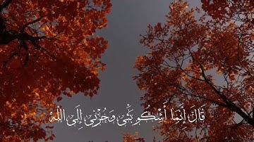 قال إنما أشكو بثي وحزني إلى الله .. تلاوة هادئة || تلاوات من آيِ القرآن الكريم