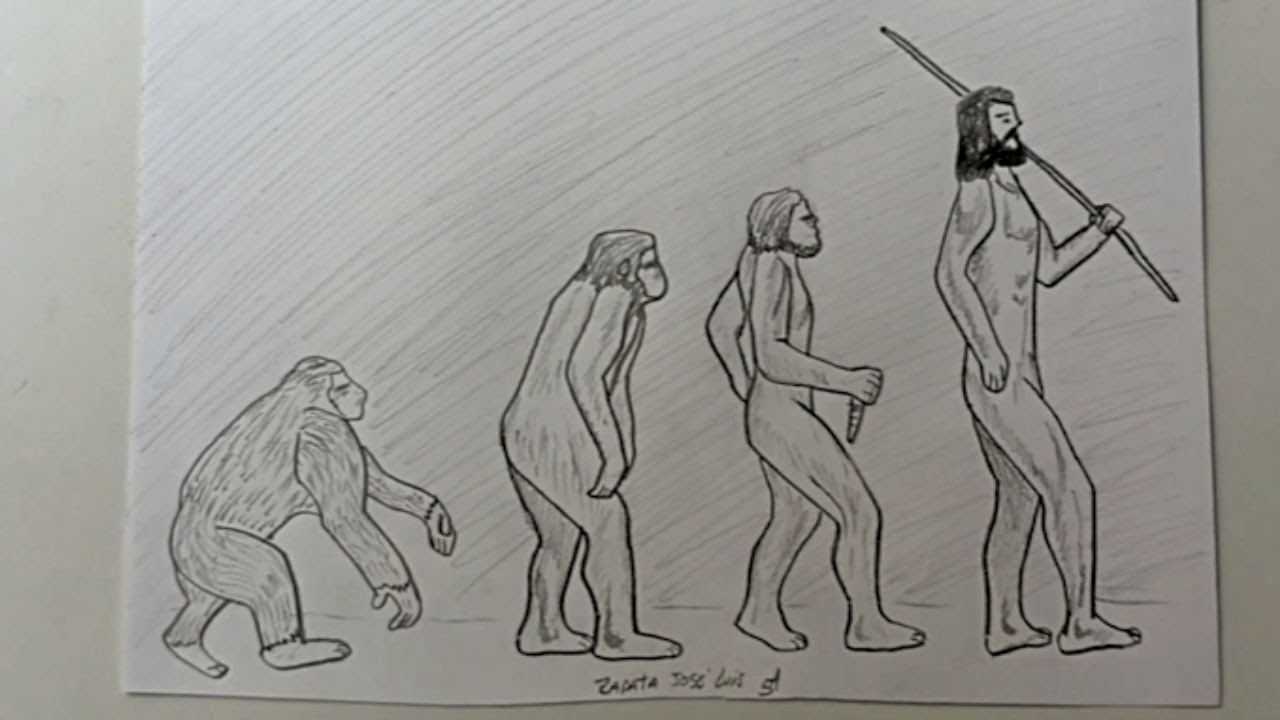 Cómo dibujar la evolución del hombre | How to draw the evolution of man ...